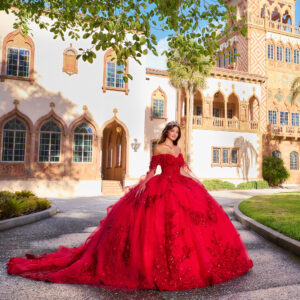 Fantastic Strapless Beaded Lace & Glitter Tulle Ball Gown w/ Detachable Sleeves | MVFW30116